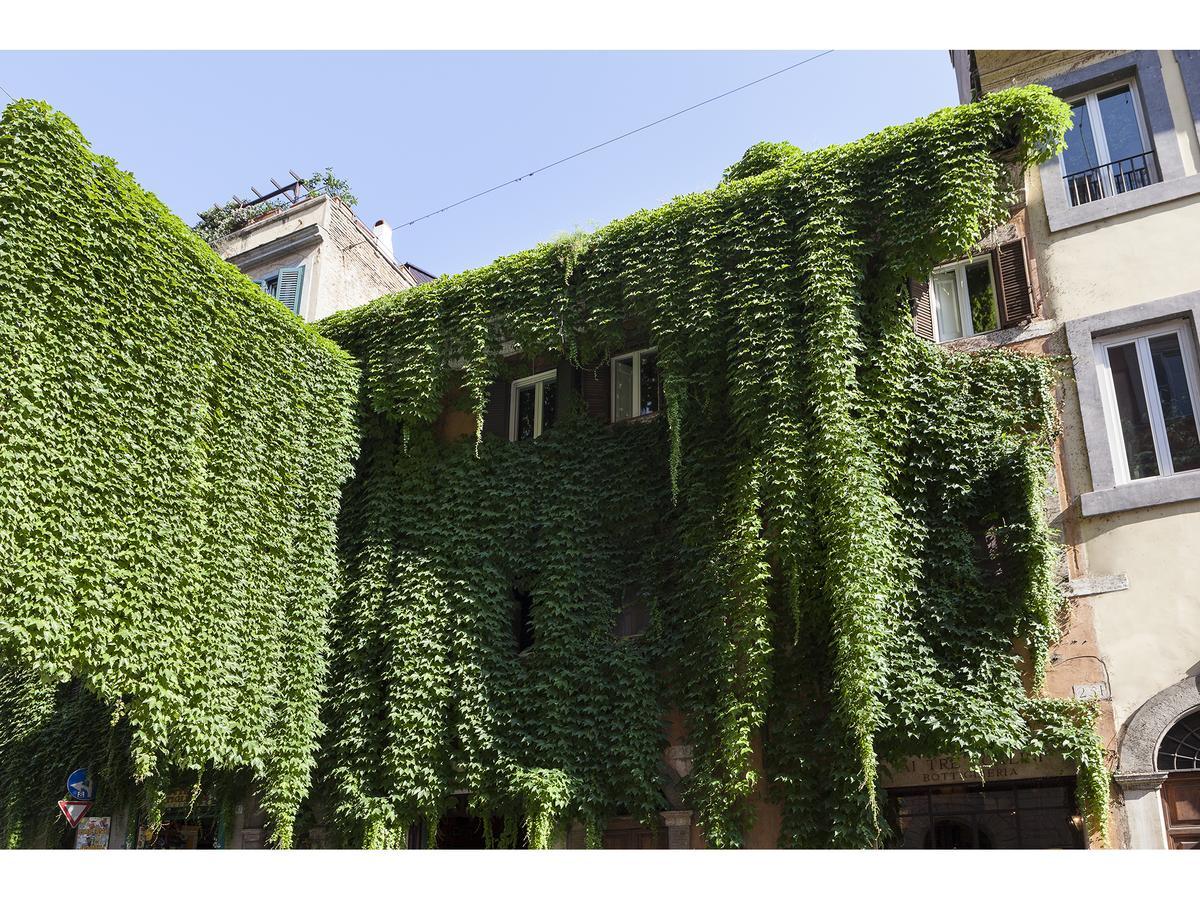 Ivy Appartamento